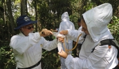 Técnicos da Sucen recolhem amostras de insetos na mata localizada em condomínio no Aruã (Foto: Ney Sarmento/PMMC)