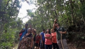 Parque Municipal receberá participantes da caminhada neste final de semana. Local recebe visitas monitoradas e possui rico ecossistema (Foto: Guilherme Berti/PMMC)