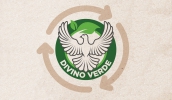 “Divino Verde” é um projeto de sustentabilidade e ações socioambientais, pensando na preservação e com objetivo de criar conscientização e educação ambiental (Foto: Divulgação/SVMA)