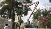 Capacitação realizada pela Secretaria do Verde com funcionários das empresas concessionárias, realizada em julho deste ano (Divulgação/PMMC)