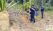 Equipes de fiscalização e da Patrulha Rural evitaram a ocupação irregular de uma área de proteção ambiental na estrada da Fazenda Cuiabá, na Vila Moraes (Divulgação)