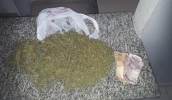 O suspeito foi detido pela Guarda Municipal na rua Narciso Lucarini e com ele foram encontradas 225 gramas de maconha, além de dinheiro (Divulgação)