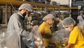 A montagem dos kits de alimentação para pessoas em situação de vulnerabilidade foi retomada na manhã desta segunda-feira, na sede do Departamento de Alimentação Escolar