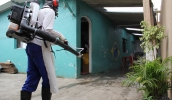 Bloqueio é efetuado para conter a proliferação do mosquito Aedes aegypti e o avanço dos casos de dengue na cidade
