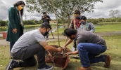 No Parque Centenário, prefeito Caio Cunha ajudou no plantio de mudas após a cerimônia de premiação dos alunos (Gabriel Bispo/PMMC)