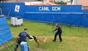 Treinamento foi realizado em uma parceria com a Guarda Municipal de Vinhedo e contou com atividades práticas e teóricas sobre o trabalho com cães (Divulgação)
