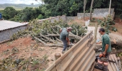Funcionários do Setor de Podas trabalham no atendimento a ocorrências em toda a cidade (Divulgação/PMMC)