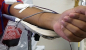 Doador de sangue precisa cumprir alguns requisitos básicos (foto: Divulgação/Pró-Sangue)