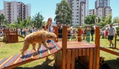 Tutores aproveitaram a inauguração do primeiro Play Pet de Mogi das Cruzes e levaram seus cães para se exercitarem (Divulgação/PMMC)