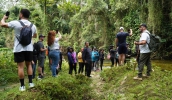 Parque das Neblinas oferece aos visitantes contato com a natureza e orientações sobre sustentabilidade, em meio às paisagens da Serra do Mar (Divulgação/PMMC)
