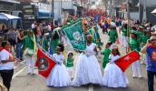A Entrada dos Palmitos é o ponto alto da programação folclórica da Festa do Divino Espírito Santo de Mogi das Cruzes e passará por vias importantes da região central (Divulgação/PMMC)