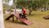 Play Pet é um playground para cães que estimula a saúde física e mental dos animais (Warley Kenji/PMMC)