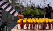 Quitanda Social, que já faz três vezes por semana a distribuição de alimentos frescos para famílias em vulnerabilidade, passou a entregar mel nesta semana (Divulgação/ PMMC)