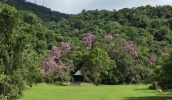 No sábado, agenda inclui Missa Campal, às 9h, no Parque Natural Municipal Francisco Affonso de Mello, organizada pela Pastoral da Ecologia (Arquivo/PMMC)