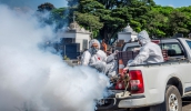 O Cemitério São Salvador é um dos principais pontos estratégicos para monitoramento das larvas na cidade