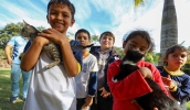 Visita alegrou as crianças, que brincaram com os animais e conheceram a estrutura do Nubea: local tem estrutura completa voltada aos pets (Divulgação/PMMC)