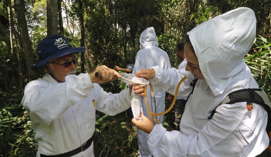 Técnicos da Sucen recolhem amostras de insetos na mata localizada em condomínio no Aruã (Foto: Ney Sarmento/PMMC)