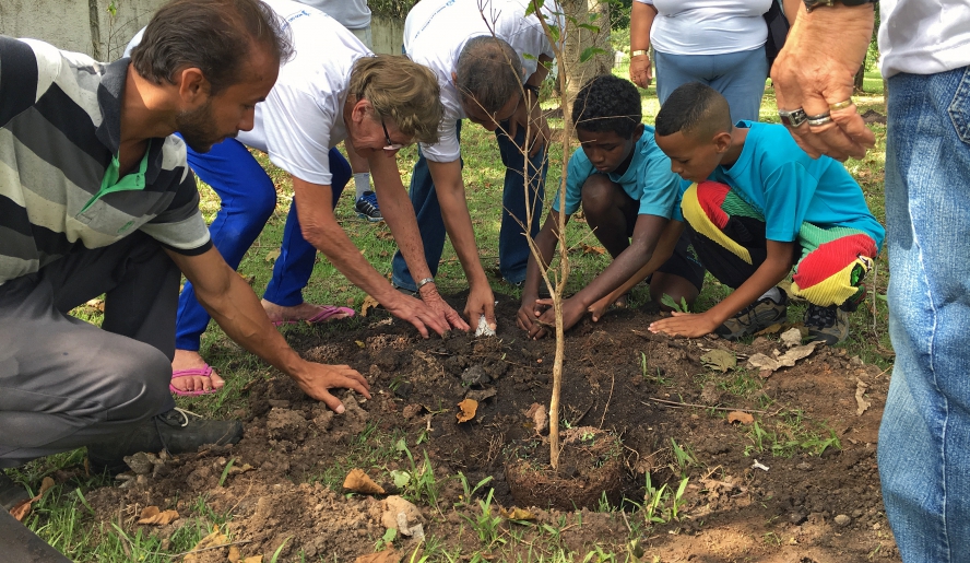 Técnicos da Prefeitura e crianças plantaram mudas de cambuci nos parques Centenário e Leon Feffer esta semana (Foto: Divulgação)