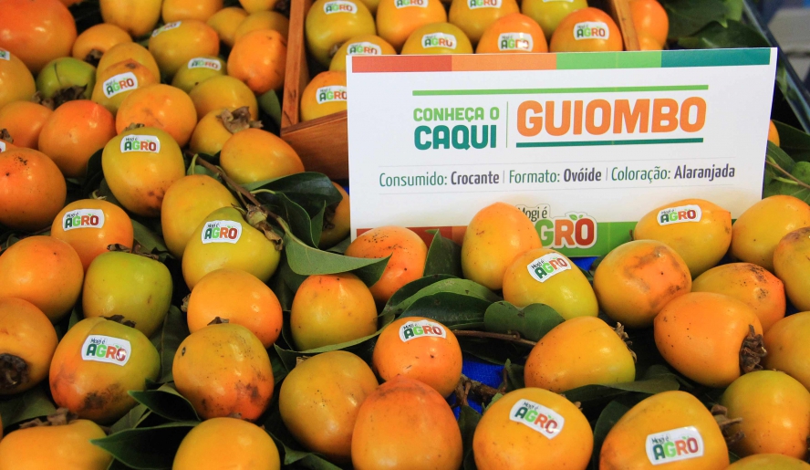 Um dos diferenciais de Mogi das Cruzes é a oferta do caqui na merenda escolar da rede municipal de ensino. (Foto: Guilherme Berti/PMMC)