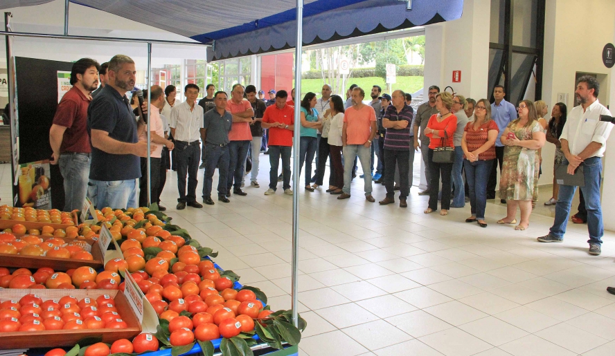 Lançamento terá pontos de vendas e divulgação por meio de cartazes na cidade. (Foto: Guilherme Berti/PMMC)