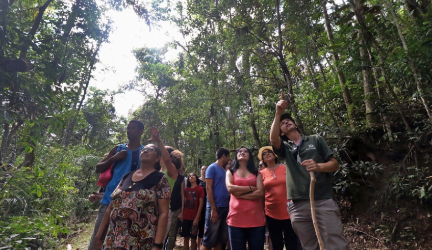 Parque Municipal receberá participantes da caminhada neste final de semana. Local recebe visitas monitoradas e possui rico ecossistema (Foto: Guilherme Berti/PMMC)