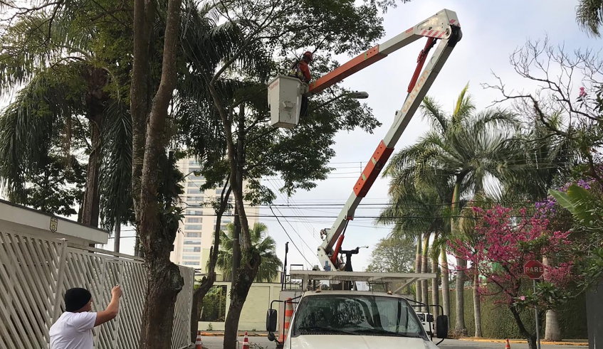 Capacitação realizada pela Secretaria do Verde com funcionários das empresas concessionárias, realizada em julho deste ano (Divulgação/PMMC)