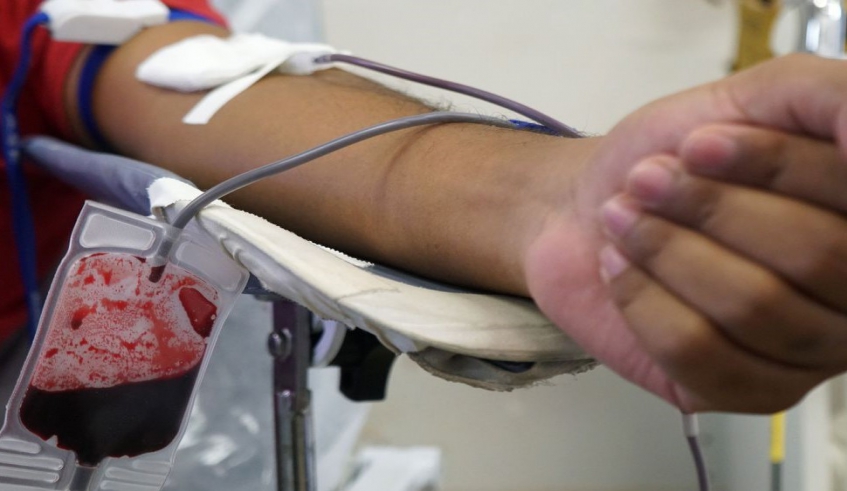 Doador de sangue precisa cumprir alguns requisitos básicos (foto: Divulgação/Pró-Sangue)