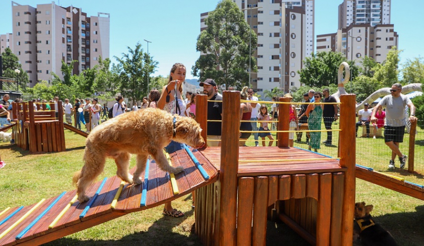 Tutores aproveitaram a inauguração do primeiro Play Pet de Mogi das Cruzes e levaram seus cães para se exercitarem (Divulgação/PMMC)