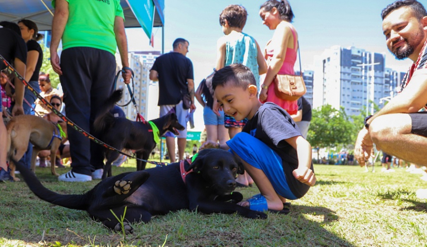 Mogianos de todas as idades acompanharam a inauguração do Play Pet e aproveitaram o domingo de sol para brincar com seus cães (Divulgação/PMMC)