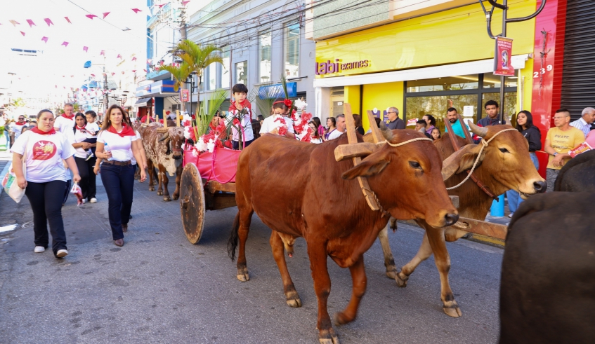 A Entrada dos Palmitos é o ponto alto da programação folclórica da Festa do Divino Espírito Santo de Mogi das Cruzes e passará por vias importantes da região central (Divulgação/PMMC)