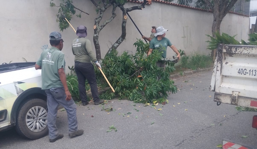 Equipes da Prefeitura atuam no Dia D de Poda, realizado às terças-feiras em Mogi das Cruzes (Divulgação - PMMC)