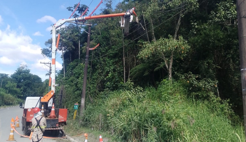 Equipe da EDP Bandeirante participa do 'Dia D de Poda' de árvores em conjunto com a Prefeitura de Mogi (Divulgação - PMMC)
