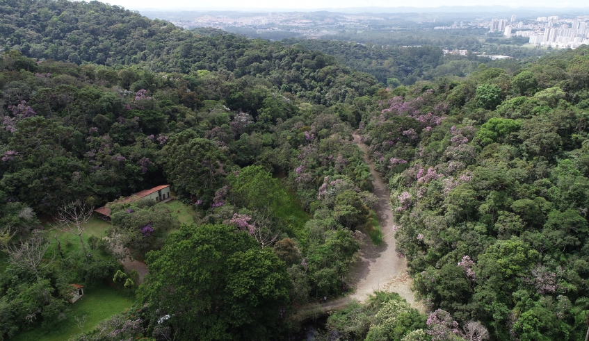 Parque Municipal (1).jpg