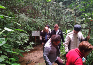 Visitantes que conhecem o Parque Municipal passam pela trilha da Nascente Modelo, um dos vários cursos d'água existentes na reserva ambiental (Foto: Divulgação/PMMC)
