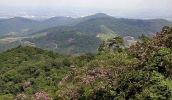 Mogianos têm até 19 de fevereiro para contribuir com o Programa Municipal de Educação Ambiental