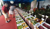 Os visitantes poderão conferir legumes, frutas e hortaliças produzidos em Mogi das Cruzes no Pavilhão Agrícola do evento. (Foto; Ney Sarmento/PMMC)