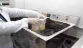 Leite materno deve ser armazenado em frascos de vidro com tampas plásticas
