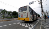 Ônibus municipais terão alterações de horários a partir desta terça-feira e idosos devem utilizar o transporte apenas em casos de urgência (Ney Sarmento/PMMC)