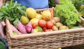 A entrega de kits compostos por produtos da agricultura local a famílias em situação de vulnerabilidade foi uma das ações em beneficio aos produtores neste período. (Divulgação/PMMC)