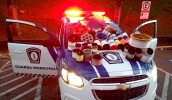 Ao todo, 40 carretéis com linhas cortantes e "linhas chilenas" foram apreendidos durante a operação e um homem foi autuado pela Prefeitura (Divulgação)