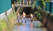 As equipes da Secretaria de Serviços Urbanos também estão realizando nesta semana trabalhos de limpeza e remoção de sedimentos do Córrego dos Corvos (Divulgação/ PMMC)
