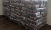 Assistência Social entrega mais 3 toneladas de alimentos, desta vez pacotes de feijão, a públicos atendidos por organizações sociais que ofertam proteção social