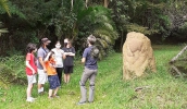 Visitas ao Parque Municipal atraem pessoas que querem conhecer a história da reserva e saber mais sobre o ecossistema local (Divulgação/SVMA)