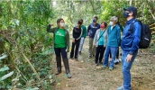 Visita monitorada ao Parque Municipal ocorreu no sábado, dia 26 de junho, e proporcionou aos visitantes informação e conhecimento sobre o ecossistema local (Divulgação/SVMA)