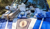 Guarda Municipal apreende 24 quilos de drogas em área próxima a conjunto habitacional