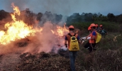 Defesa Civil e Meio Ambiente participam de capacitação sobre fogo em vegetação