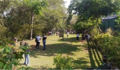 Ilha Marabá, Viveiro de Mudas e Parque Municipal recebem visitas monitoradas, em grupos reduzidos