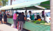 Agricultura abre chamamento público para espaços em feiras livres da cidade