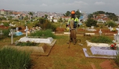 Cemitério da Saudade recebe trabalhos de limpeza pública