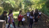 Mogianos podem fazer inscrições para visitas à Ilha Marabá, Viveiro e Parque Municipal